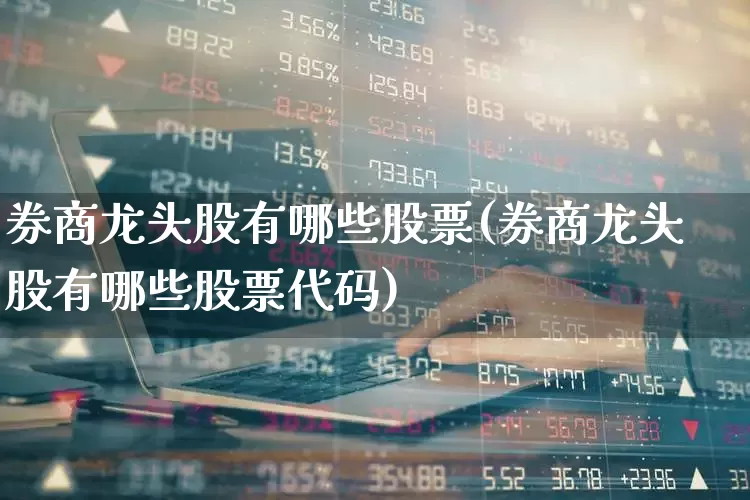 券商龙头股有哪些股票(券商龙头股有哪些股票代码)_https://www.gfdzclz.com_北交所_第1张