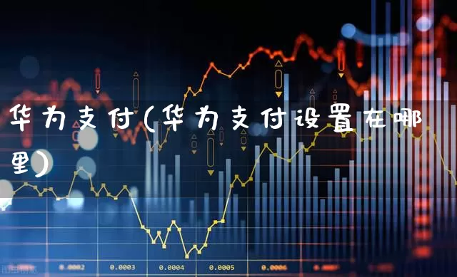 华为支付(华为支付设置在哪里)_https://www.gfdzclz.com_上交所_第1张