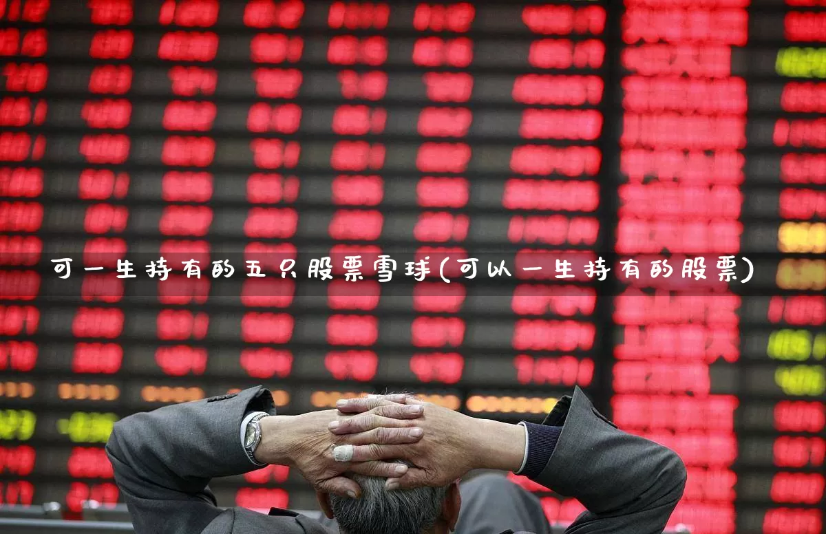 可一生持有的五只股票雪球(可以一生持有的股票)_https://www.gfdzclz.com_深交所_第1张