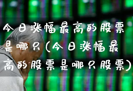 今日涨幅最高的股票是哪只(今日涨幅最高的股票是哪只股票)_https://www.gfdzclz.com_创业板_第1张
