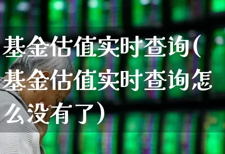 基金估值实时查询(基金估值实时查询怎么没有了)_https://www.gfdzclz.com_北交所_第1张