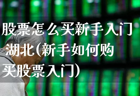 股票怎么买新手入门 湖北(新手如何购买股票入门)_https://www.gfdzclz.com_科创板_第1张