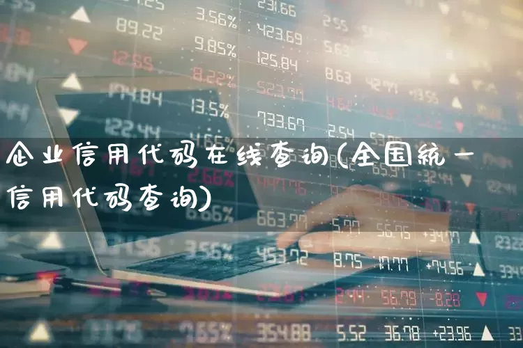 企业信用代码在线查询(全国统一信用代码查询)_https://www.gfdzclz.com_深交所_第1张