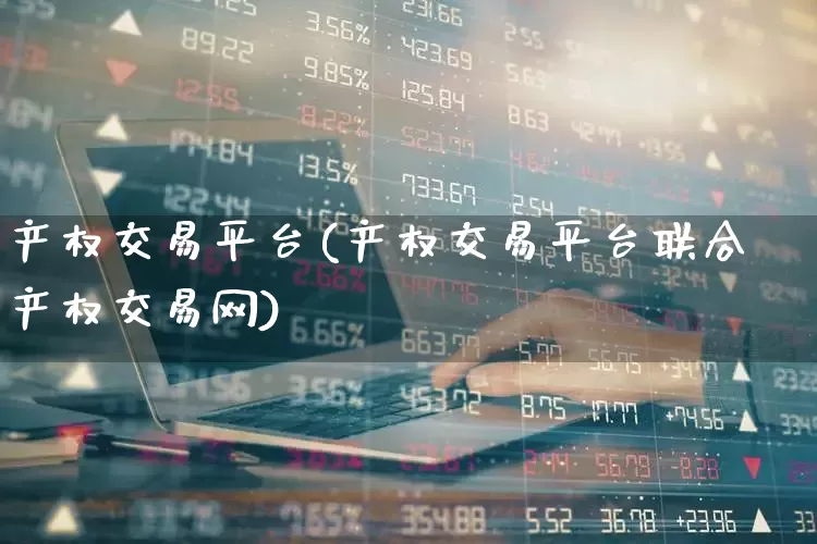产权交易平台(产权交易平台联合产权交易网)_https://www.gfdzclz.com_深交所_第1张