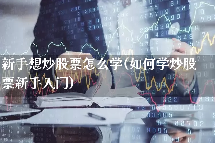 新手想炒股票怎么学(如何学炒股票新手入门)_https://www.gfdzclz.com_创业板_第1张