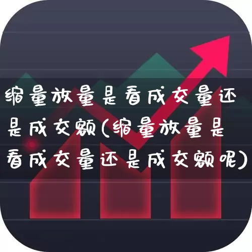 缩量放量是看成交量还是成交额(缩量放量是看成交量还是成交额呢)_https://www.gfdzclz.com_深交所_第1张