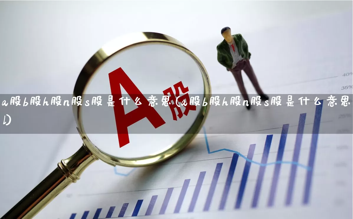 a股b股h股n股s股是什么意思(a股b股h股n股s股是什么意思l)_https://www.gfdzclz.com_创业板_第1张