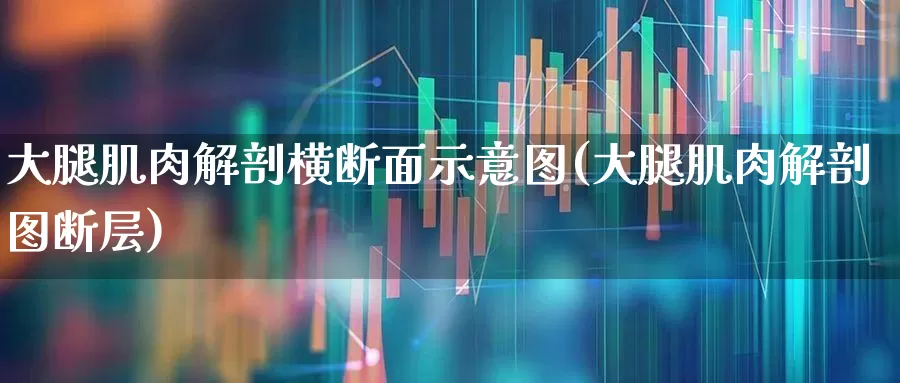 大腿肌肉解剖横断面示意图(大腿肌肉解剖图断层)_https://www.gfdzclz.com_北交所_第1张