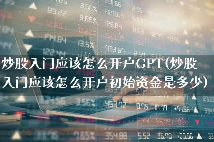 炒股入门应该怎么开户GPT(炒股入门应该怎么开户初始资金是多少)_https://www.gfdzclz.com_科创板_第1张