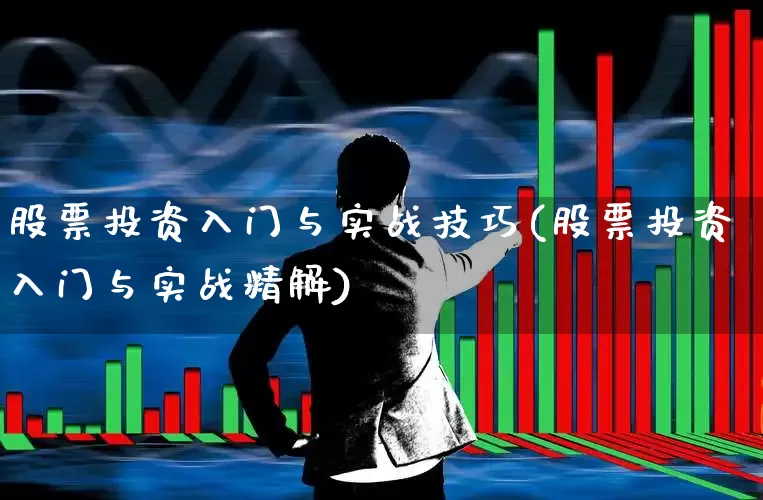 股票投资入门与实战技巧(股票投资入门与实战精解)_https://www.gfdzclz.com_北交所_第1张