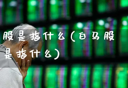 股是指什么(白马股是指什么)_https://www.gfdzclz.com_深交所_第1张