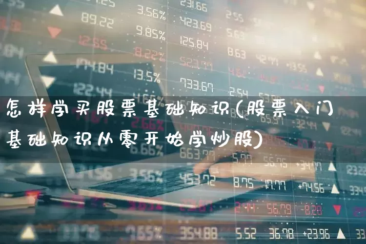 怎样学买股票基础知识(股票入门基础知识从零开始学炒股)_https://www.gfdzclz.com_北交所_第1张