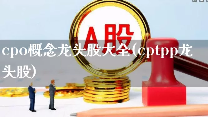 cpo概念龙头股大全(cptpp龙头股)_https://www.gfdzclz.com_北交所_第1张