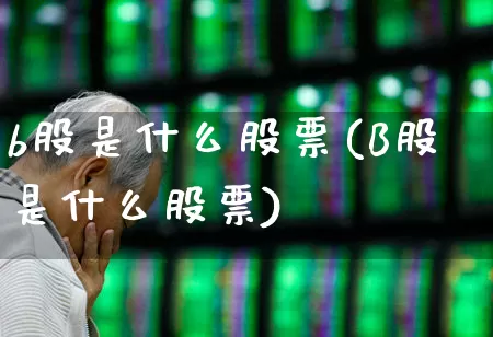 b股是什么股票(B股是什么股票)_https://www.gfdzclz.com_北交所_第1张