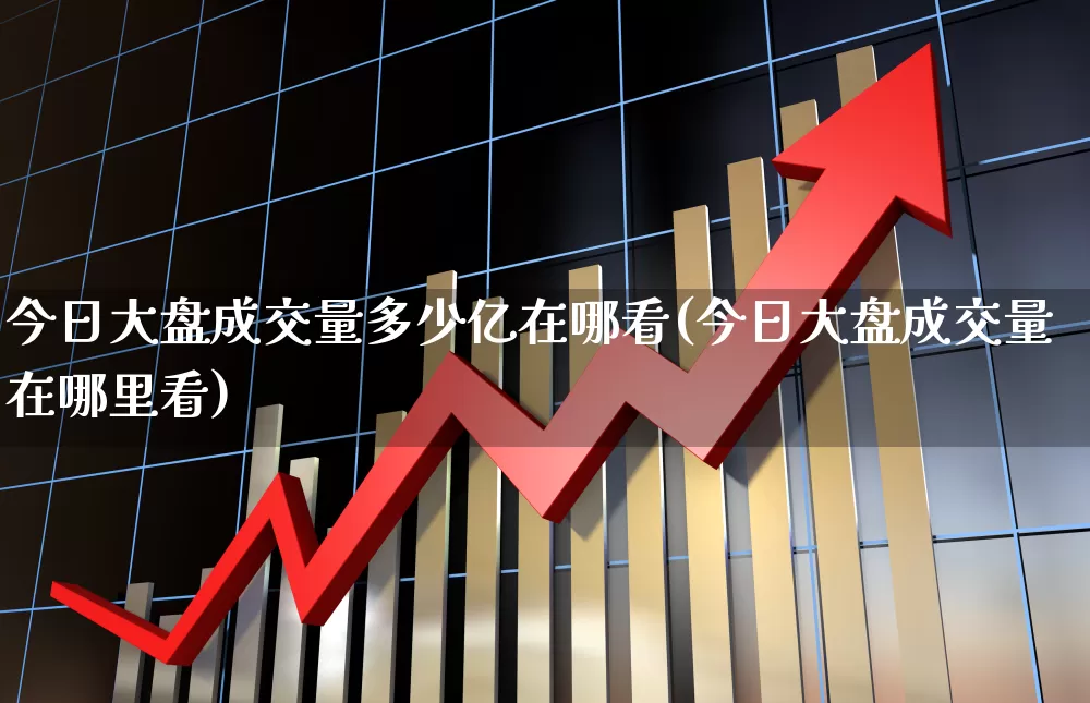 今日大盘成交量多少亿在哪看(今日大盘成交量在哪里看)_https://www.gfdzclz.com_科创板_第1张