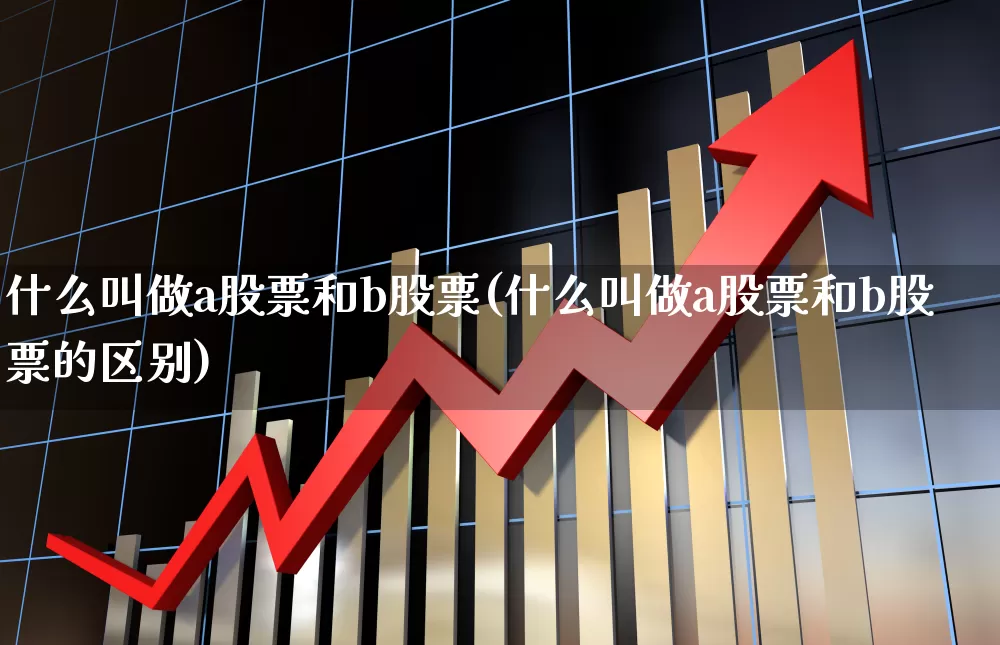 什么叫做a股票和b股票(什么叫做a股票和b股票的区别)_https://www.gfdzclz.com_上交所_第1张