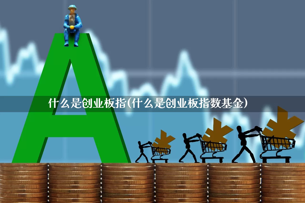 什么是创业板指(什么是创业板指数基金)_https://www.gfdzclz.com_上交所_第1张