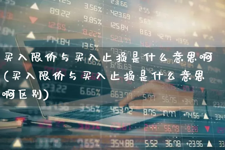 买入限价与买入止损是什么意思啊(买入限价与买入止损是什么意思啊区别)_https://www.gfdzclz.com_科创板_第1张