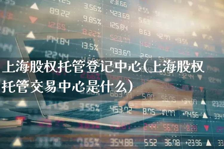 上海股权托管登记中心(上海股权托管交易中心是什么)_https://www.gfdzclz.com_北交所_第1张