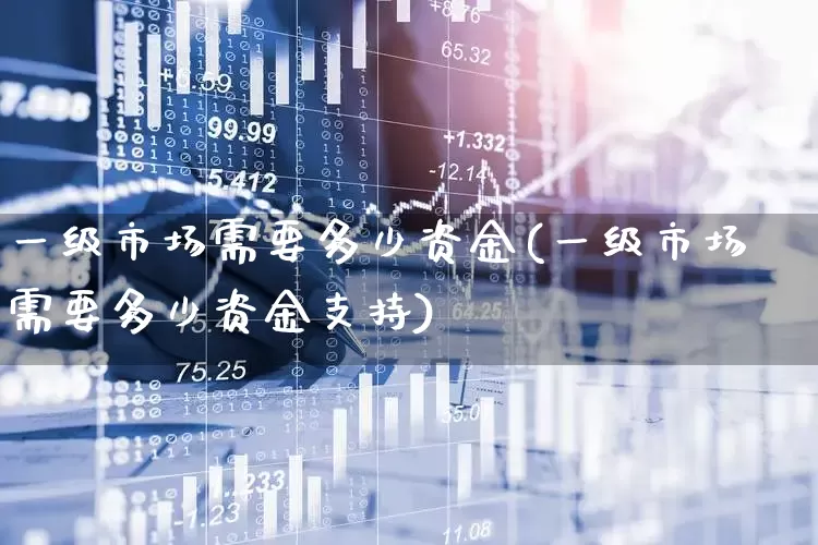 一级市场需要多少资金(一级市场需要多少资金支持)_https://www.gfdzclz.com_上交所_第1张