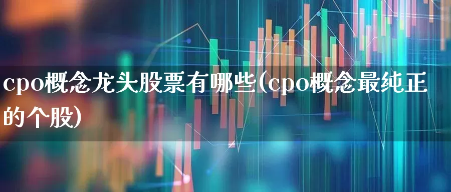 cpo概念龙头股票有哪些(cpo概念最纯正的个股)_https://www.gfdzclz.com_北交所_第1张