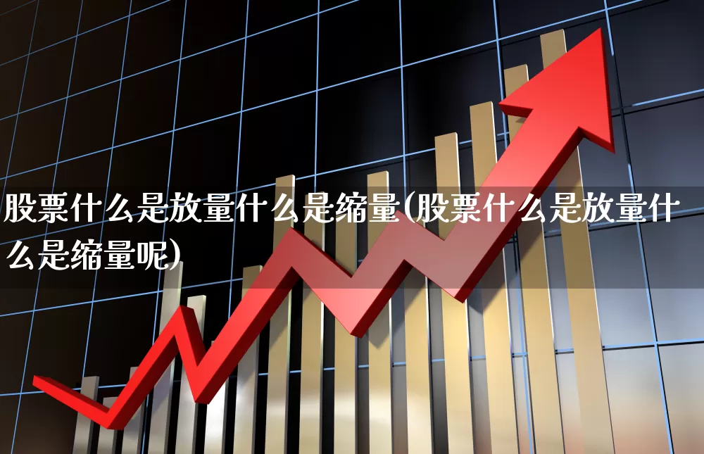 股票什么是放量什么是缩量(股票什么是放量什么是缩量呢)_https://www.gfdzclz.com_创业板_第1张
