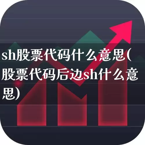 sh股票代码什么意思(股票代码后边sh什么意思)_https://www.gfdzclz.com_深交所_第1张