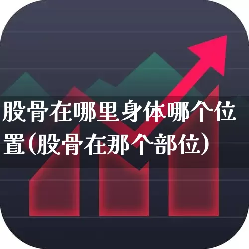 股骨在哪里身体哪个位置(股骨在那个部位)_https://www.gfdzclz.com_上交所_第1张