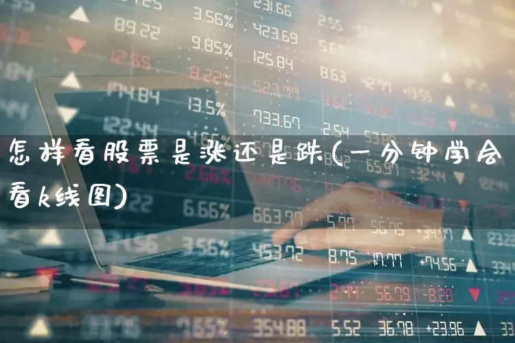 怎样看股票是涨还是跌(一分钟学会看k线图)_https://www.gfdzclz.com_创业板_第1张