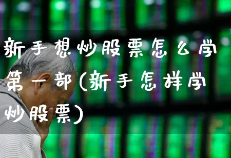 新手想炒股票怎么学第一部(新手怎样学炒股票)_https://www.gfdzclz.com_上交所_第1张