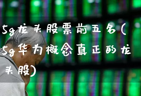 5g龙头股票前五名(5g华为概念真正的龙头股)_https://www.gfdzclz.com_创业板_第1张