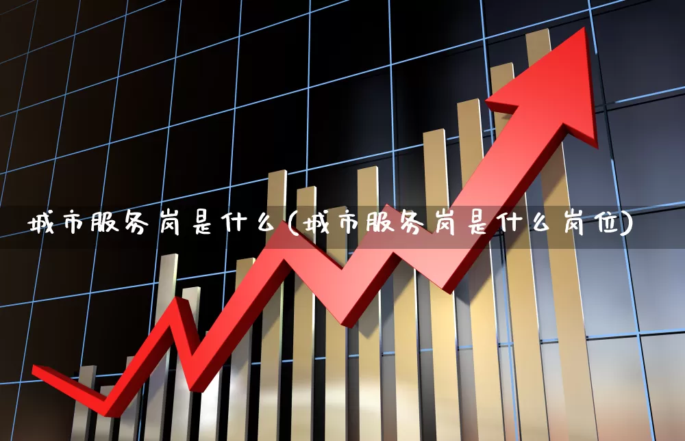 城市服务岗是什么(城市服务岗是什么岗位)_https://www.gfdzclz.com_深交所_第1张