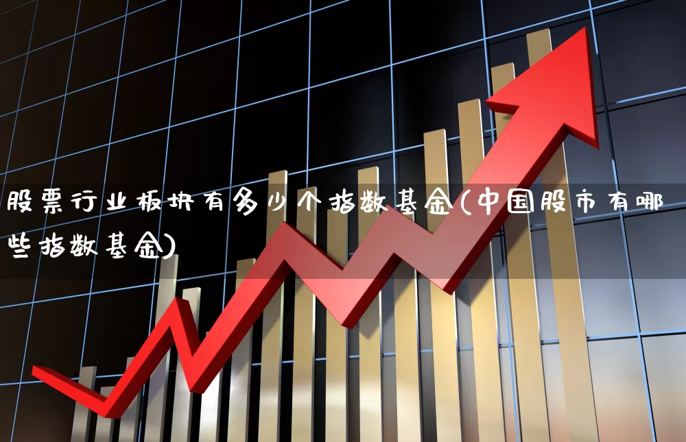股票行业板块有多少个指数基金(中国股市有哪些指数基金)_https://www.gfdzclz.com_创业板_第1张