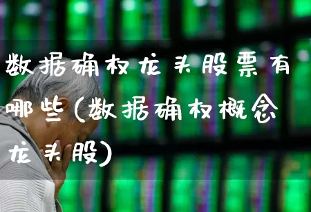 数据确权龙头股票有哪些(数据确权概念龙头股)_https://www.gfdzclz.com_科创板_第1张