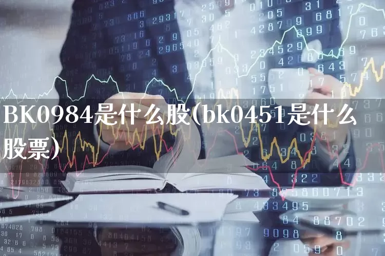 BK0984是什么股(bk0451是什么股票)_https://www.gfdzclz.com_上交所_第1张
