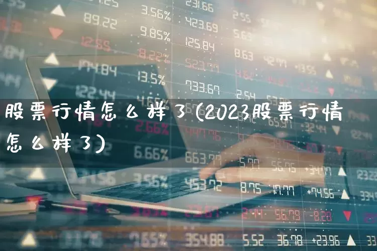 股票行情怎么样了(2023股票行情怎么样了)_https://www.gfdzclz.com_上交所_第1张
