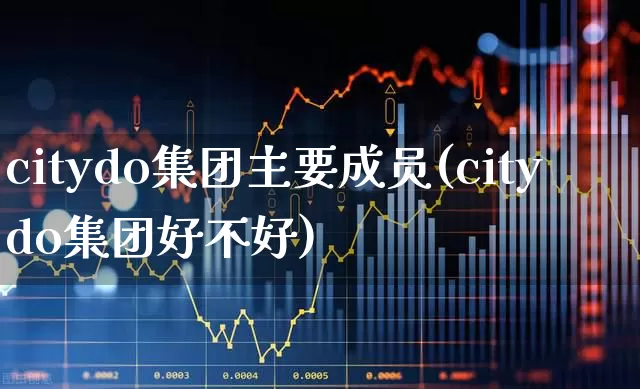 citydo集团主要成员(citydo集团好不好)_https://www.gfdzclz.com_创业板_第1张