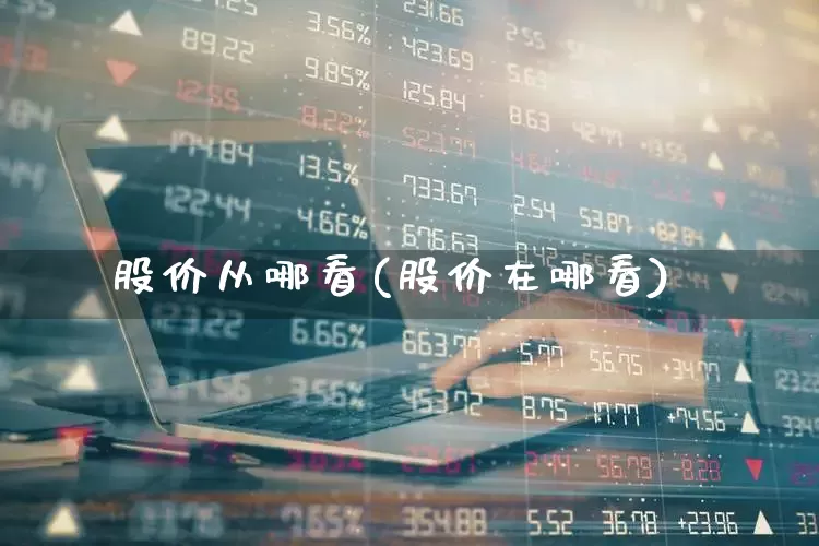 股价从哪看(股价在哪看)_https://www.gfdzclz.com_上交所_第1张