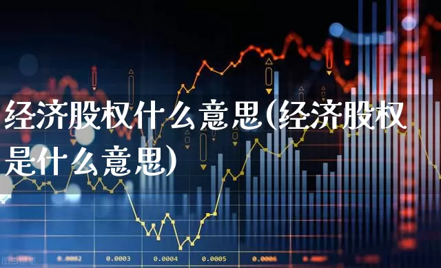 经济股权什么意思(经济股权是什么意思)_https://www.gfdzclz.com_科创板_第1张
