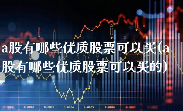 a股有哪些优质股票可以买(a股有哪些优质股票可以买的)_https://www.gfdzclz.com_深交所_第1张