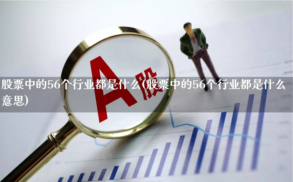 股票中的56个行业都是什么(股票中的56个行业都是什么意思)_https://www.gfdzclz.com_北交所_第1张