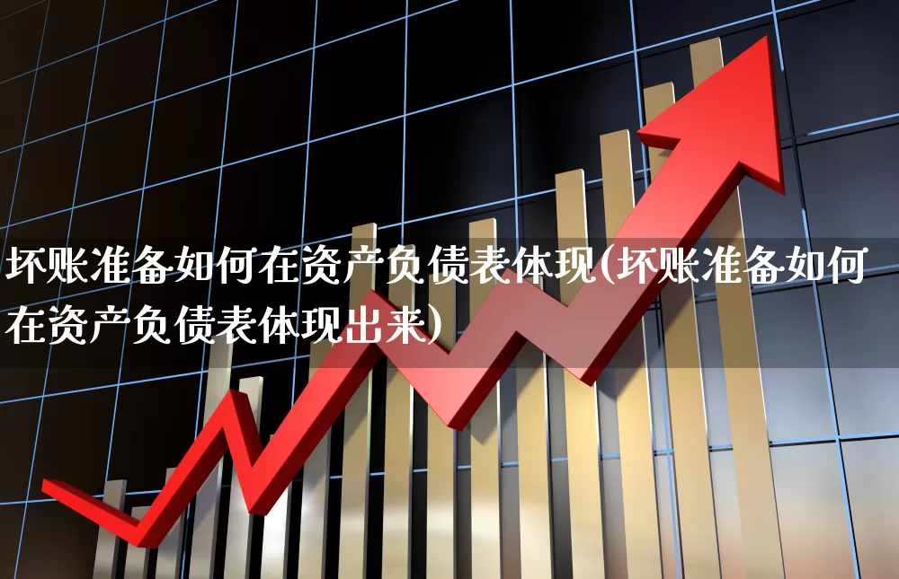 坏账准备如何在资产负债表体现(坏账准备如何在资产负债表体现出来)_https://www.gfdzclz.com_科创板_第1张