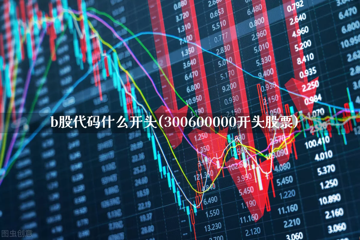 b股代码什么开头(300600000开头股票)_https://www.gfdzclz.com_深交所_第1张