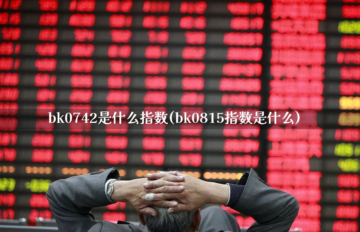 bk0742是什么指数(bk0815指数是什么)_https://www.gfdzclz.com_上交所_第1张