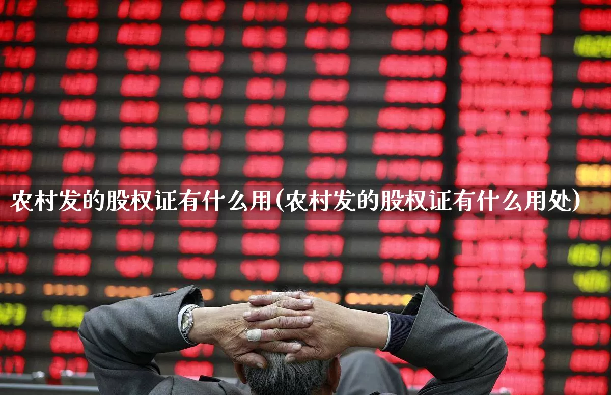 农村发的股权证有什么用(农村发的股权证有什么用处)_https://www.gfdzclz.com_深交所_第1张