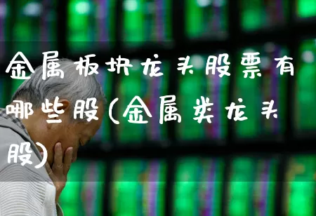 金属板块龙头股票有哪些股(金属类龙头股)_https://www.gfdzclz.com_科创板_第1张