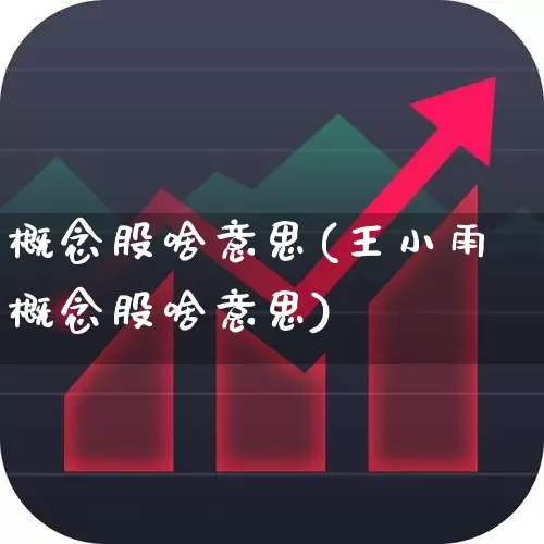 概念股啥意思(王小雨概念股啥意思)_https://www.gfdzclz.com_深交所_第1张