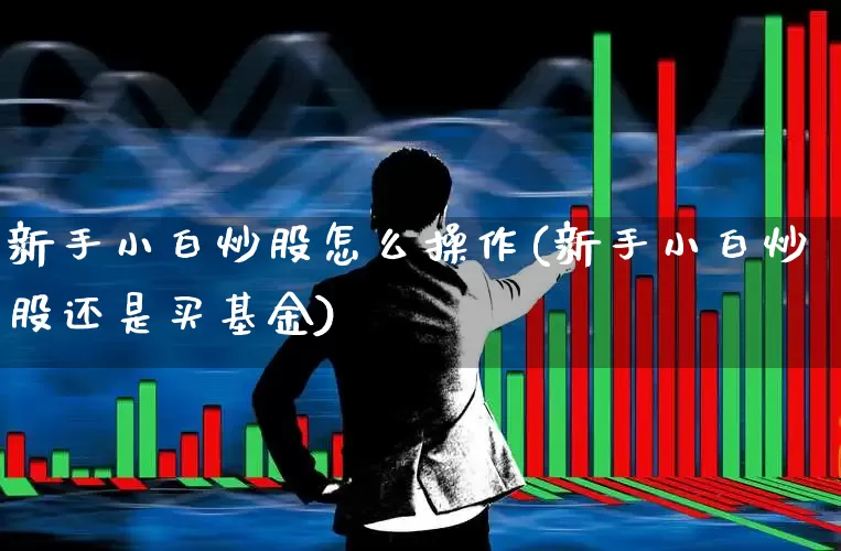 新手小白炒股怎么操作(新手小白炒股还是买基金)_https://www.gfdzclz.com_创业板_第1张