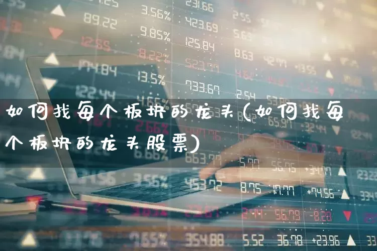 如何找每个板块的龙头(如何找每个板块的龙头股票)_https://www.gfdzclz.com_深交所_第1张