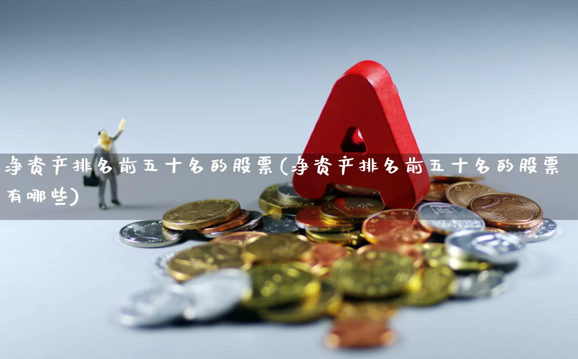 净资产排名前五十名的股票(净资产排名前五十名的股票有哪些)_https://www.gfdzclz.com_创业板_第1张